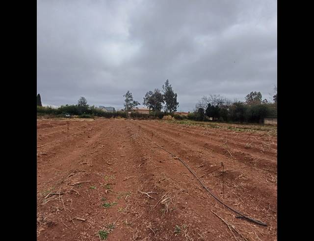 4,064M² VACANT LAND FOR SALE IN HENLEY ON KLIP